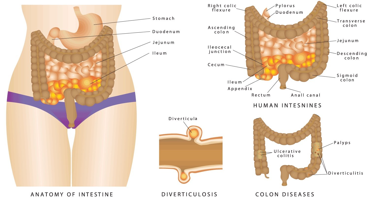 How Much Does Colonic Hydrotherapy Cost (19)